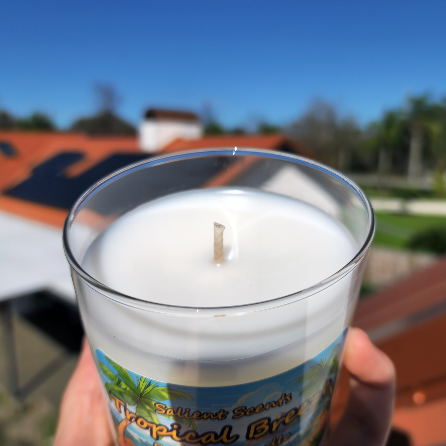 Tropical Breeze - Odor Eliminating Coconut Wax Candle