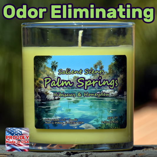 Palm Springs - Luxe Coconut Wax Odor Eliminating Candle