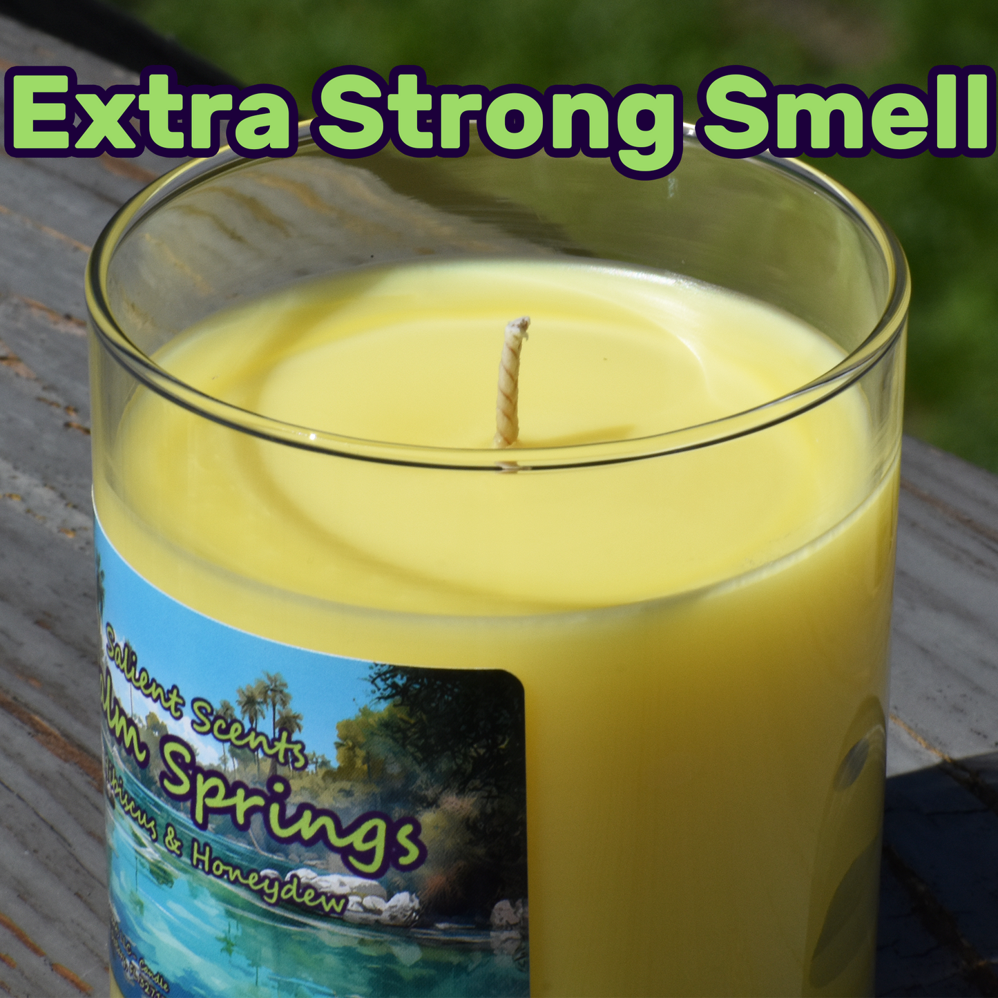 Palm Springs - Luxe Coconut Wax Odor Eliminating Candle