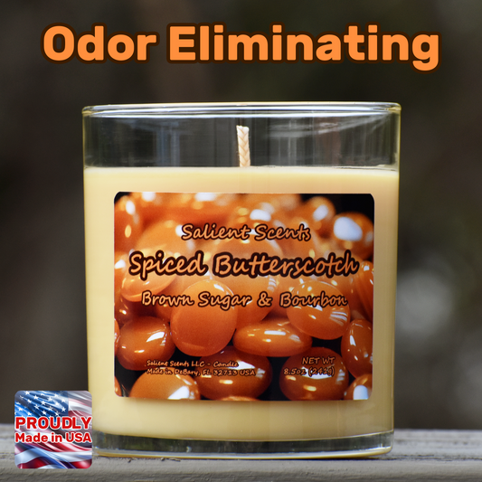 Spiced Butterscotch - Odor Eliminating Coconut Wax Candle