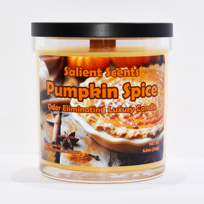 Pumpkin Spice - Luxury Coconut Wax Odor Eliminating Candle